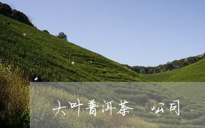 大叶普洱茶 公司/2023040904937